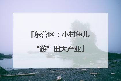 东营区：小村鱼儿“游”出大产业